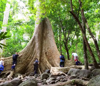 KHÁM PHÁ VƯỜN QUỐC GIA NAM CÁT TIÊN - NGẮM THÚ ĐÊM HOANG DÃ
