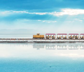 CAO NGUYÊN THANH HẢI – CAM TÚC