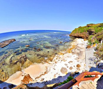 ĐÀ NẴNG - RỪNG DỪA BẢY MẪU - HỘI AN - ĐẢO LÝ SƠN