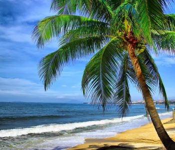 DU LICH NHA TRANG - BIỂN NHIỆT ĐỚI - THE SIGNATURE GARDEN