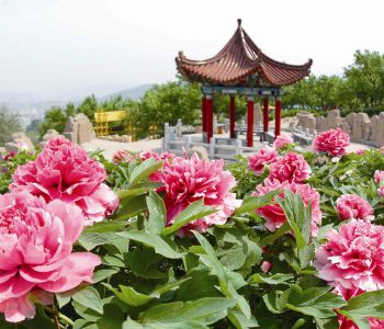 CHƯƠNG TRÌNH DU LỊCH TRUNG HOA – TỈNH HÀ NAM