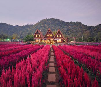 THÁI LAN TẾT ÂM LỊCH: BANGKOK – KHAO YAI – NAKHON NAYOK