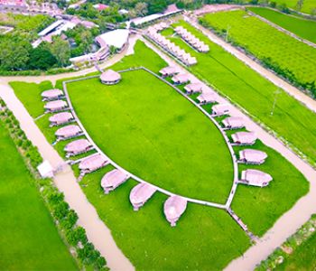 DU LỊCH TẾT NGUYÊN ĐÁN VƯỜN HỒNG TƯ TÔN - KDL SINH THÁI MỸ PHƯỚC THÀNH - KDT NGUYỄN SINH SẮC - KHU RAMSAR VQG TRÀM CHIM