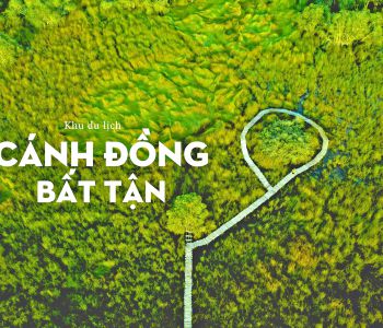 THAM QUAN KHU DU LỊCH CÁNH ĐỒNG BẤT TẬN LONG AN