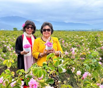 CHƯƠNG TRÌNH ĐẶC BIỆT 2025 LỄ HỘI HOA HỒNG BULGARIA