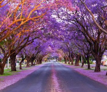 TOUR DU LỊCH ĐÔNG – TÂY NƯỚC ÚC 2025