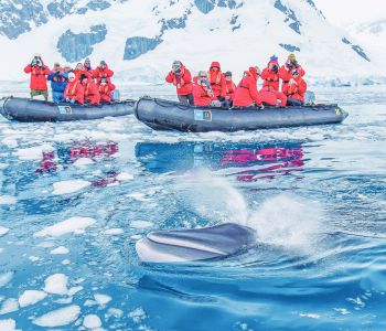 PHIÊU LƯU CHÂU NAM CỰC 2025 - CHƯƠNG TRÌNH BASECAMP – KAYAKING