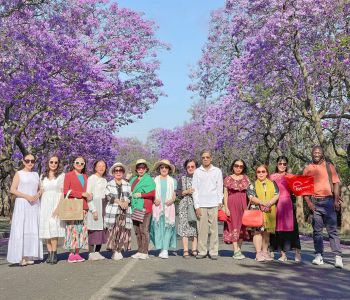 KHÁM PHÁ NAM PHI JOHANNESBURG - PRETORIA - CAPE TOWN