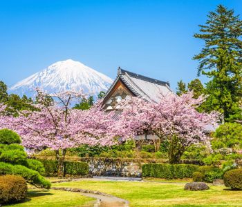 NHẬT BẢN – SẮC HOA ANH ĐÀO