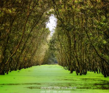 CHÂU ĐỐC - RỪNG TRÀM TRÀ SƯ - CẦN THƠ - KDL MỸ KHÁNH