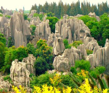 HÀNH TRÌNH TRƯƠNG GIA GIỚI - PHƯỢNG HOÀNG CỔ TRẤN