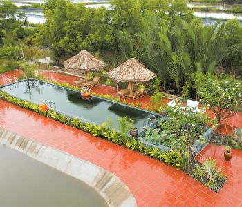 HƯƠNG TÌNH TRÀ VINH