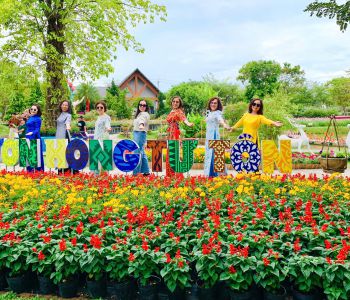 CHƯƠNG TRÌNH THAM QUAN  QUÝT HỒNG LAI VUNG – LÀNG HOA SA ĐÉC – KIẾN AN CUNG