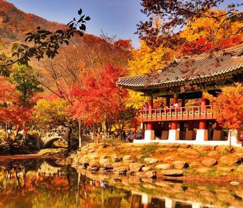 HÀN QUỐC: BUSAN – JEJU – SEOUL – ĐẢO NAMI