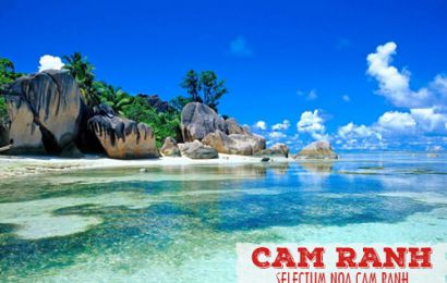 SELECTUM NOA CAM RANH