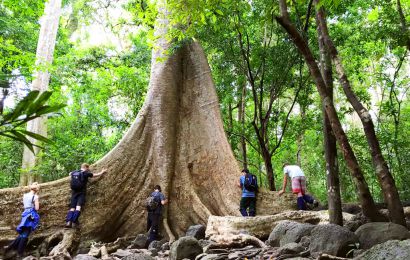 KHÁM PHÁ VƯỜN QUỐC GIA NAM CÁT TIÊN - NGẮM THÚ ĐÊM HOANG DÃ