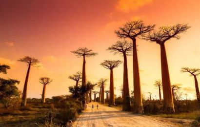 KHÁM PHÁ ẤN ĐỘ DƯƠNG 2027: SEYCHELLES – REUNION –  MADAGASCAR – MAURITIUS