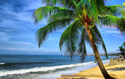 DU LICH NHA TRANG - BIỂN NHIỆT ĐỚI - THE SIGNATURE GARDEN