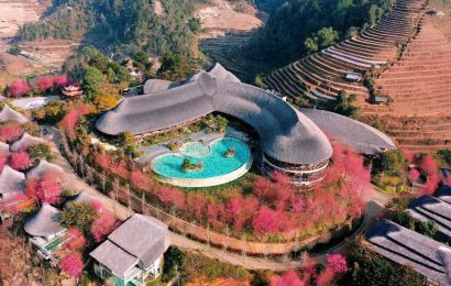 TPHCM - HÀ NỘI - MÚA RỐI NƯỚC - DRAGONFLY RESORT - GARRYA MÙ CANG CHẢI - HƯƠNG SẮC MÙA HOA TỚ DÀY