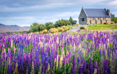 KHÁM PHÁ NAM ĐẢO - BẮC ĐẢO NEW ZEALAND CHIRSTCHURCH – MOUNT COOK NP – QUEENSTOWN – FRANZ JOSEF – ROTORUA – AUCKLAND