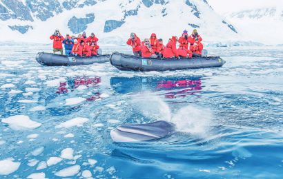 PHIÊU LƯU CHÂU NAM CỰC 2025 - CHƯƠNG TRÌNH BASECAMP – KAYAKING