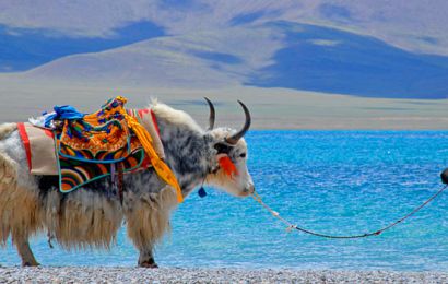 TÂY TẠNG: LHASA – TU VIỆN POTALA – HỒ YAMDROK - SHIGATSE