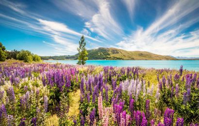 TOUR DU LỊCH ÚC – NEW ZEALAND