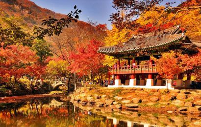 HÀN QUỐC: BUSAN – JEJU – SEOUL – ĐẢO NAMI