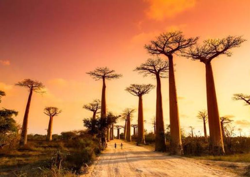 KHÁM PHÁ ẤN ĐỘ DƯƠNG 2027: SEYCHELLES – REUNION –  MADAGASCAR – MAURITIUS