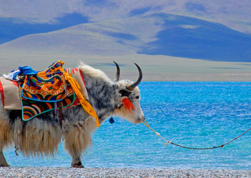 KHÁM PHÁ KHU TỰ TRỊ TÂY TẠNG