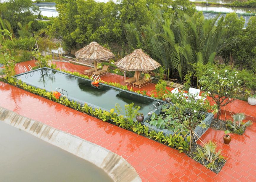 HƯƠNG TÌNH TRÀ VINH